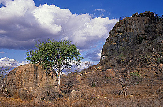 靠近,克鲁格国家公园,南非