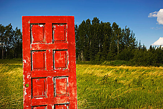 艾伯塔省,加拿大,老,破旧,红色,门,土地