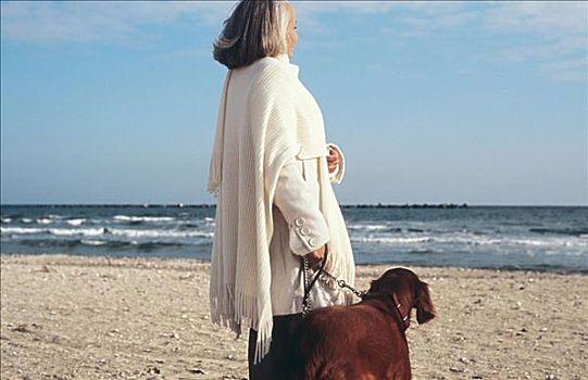 老年,女人,遛狗,海滩