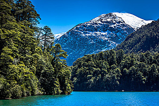 风景,湖,山顶,山,纳韦尔瓦皮,国家公园,阿根廷