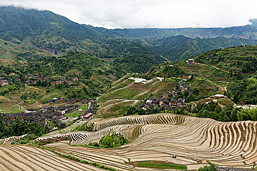 龙脊梯田