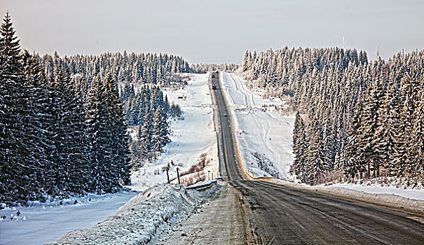 雪,陆地,道路,照片