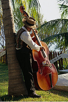 男人,靠着,棕榈树,演奏,低音提琴,古巴