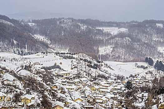 雪地,树林,村庄,雪村