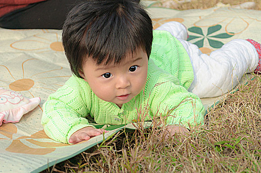 草地上玩耍的婴儿