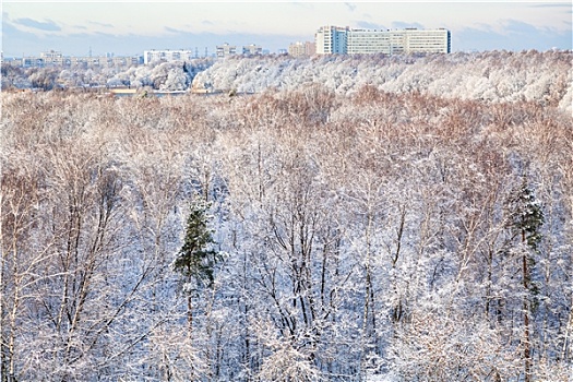 雪,木头,城市,房子,冬天