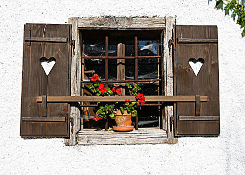 花,窗户,天竺葵,农舍,月亮湖地区,萨尔茨卡莫古特,上奥地利州,奥地利,欧洲