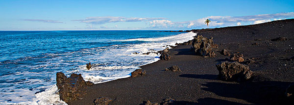 黑沙,海滩,柯哈拉,夏威夷大岛,夏威夷,大幅,尺寸