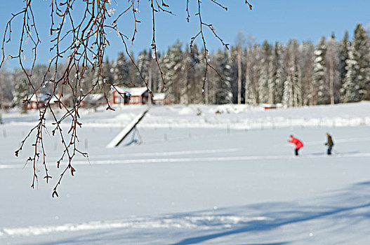 滑雪,冬天,风景,瑞典