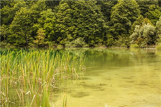 湖,克罗地亚,自然,旅行,背景