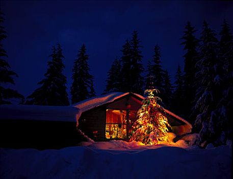 圣诞装饰,原木上,家,冬天,景色,夜晚