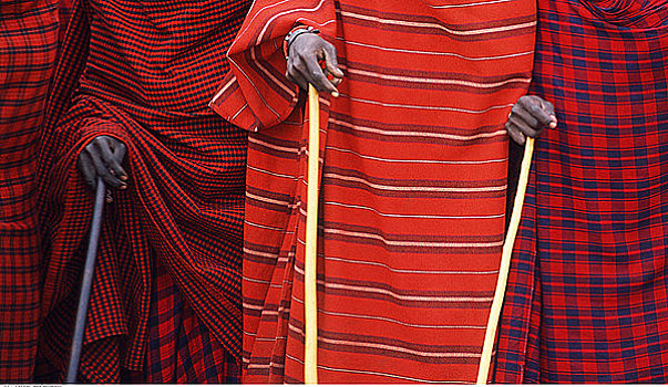 特写,马萨伊,男人,手杖,肯尼亚,非洲