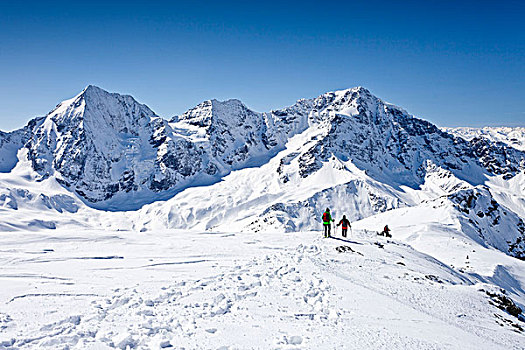 旅游,滑雪者,山,冬天,背影,省,意大利,欧洲