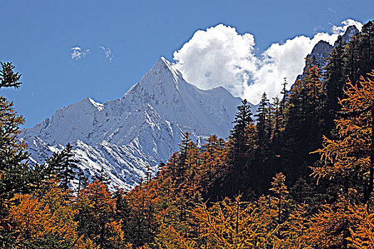 四川稻城风景