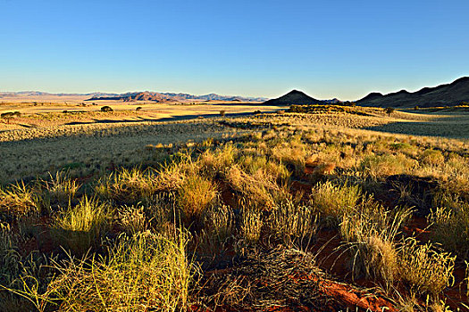 风景,上方,纳米比沙漠,自然保护区,纳米布沙漠,纳米比亚,非洲
