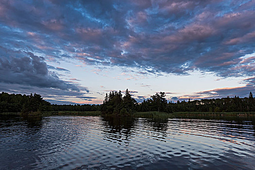 平和,水,湖,日落,木头,安大略省,加拿大