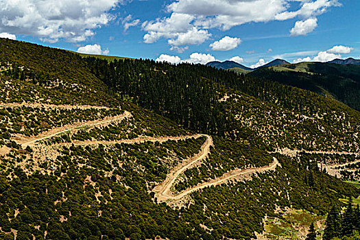 盘山公路