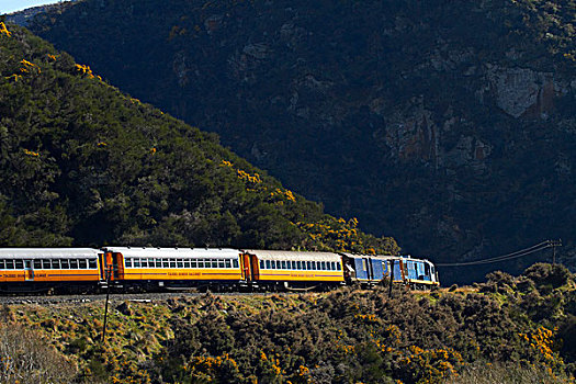 峡谷,列车,靠近,奥塔哥,南岛,新西兰