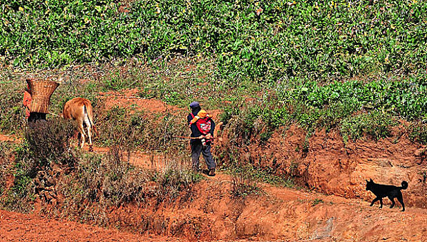 云南东川劳作的农民在回家的路上