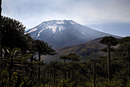 火山,智利