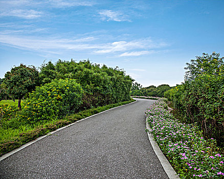 广东海珠湿地公园园区公路