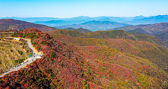 河南三门峡,满山红叶层林尽染