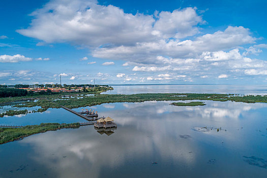 兴凯湖湿地公园夏季风光