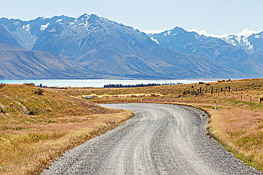 空,乡村道路,靠近,河,新西兰