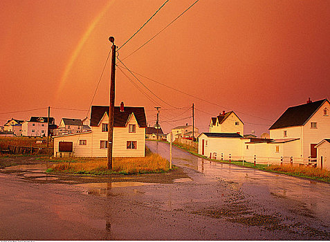 彩虹,上方,纽芬兰,加拿大