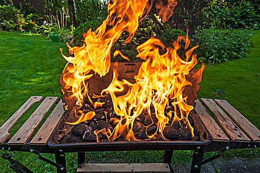 火焰,炭烤架