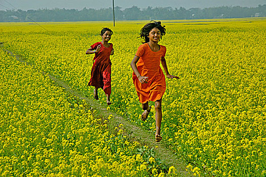 孩子,跑,芥末,地点,孟加拉,十二月,2007年