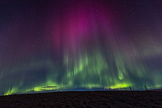 冰岛,北极光,绿色,紫色,星空,南,草场,栅栏
