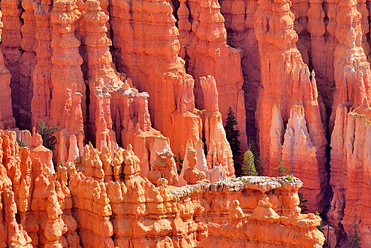 红色,侵蚀,石灰石,柱子,布莱斯峡谷国家公园,日出,犹他,美国,北美