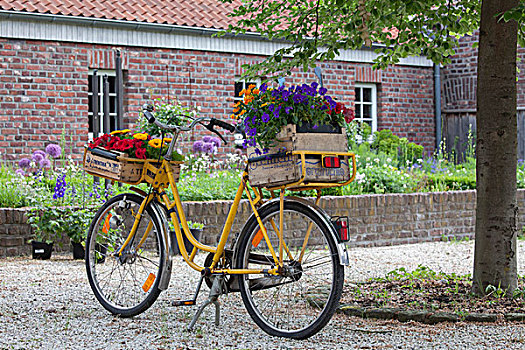 黄色,旧式,自行车,花,木质,板条箱,行李,架子,正面,床,户外,砖,农舍