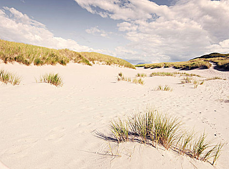 沙丘,岛,赫布里底群岛,苏格兰