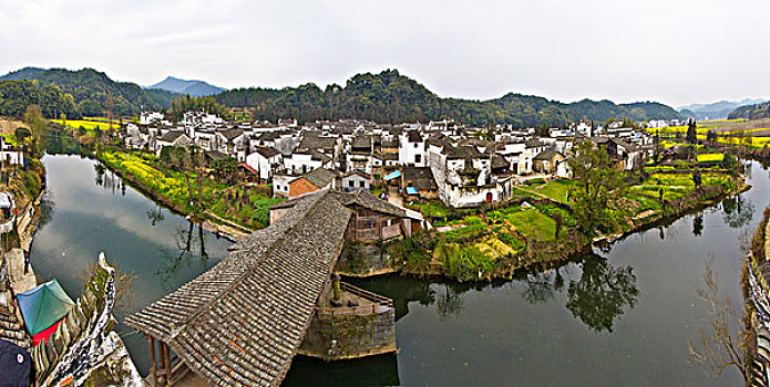 江西婺源,思溪延村,油菜花,徽派建筑,民居