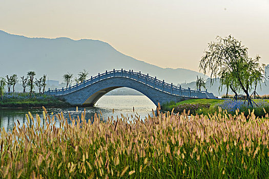 城市风景