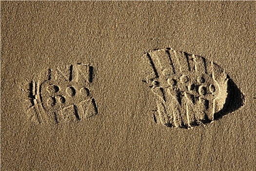 靴子,鞋,鞋印,上方,海滩,沙子