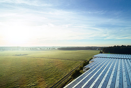 地点,风景,植物培育,温室,屋顶,日出,俯视图,荷兰