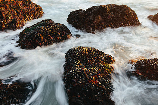 长时间曝光,贝类,遮盖,石头,海浪,黄昏,雷斯岬,国家海岸