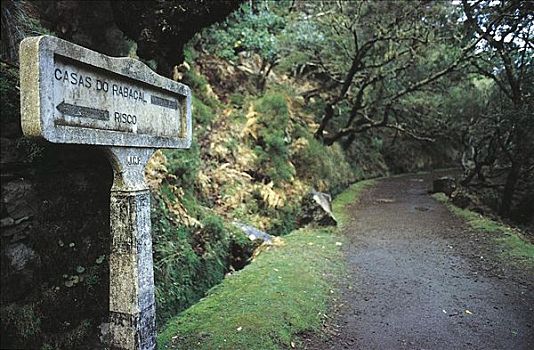 标识,方向,道路,马德拉岛,葡萄牙,欧洲