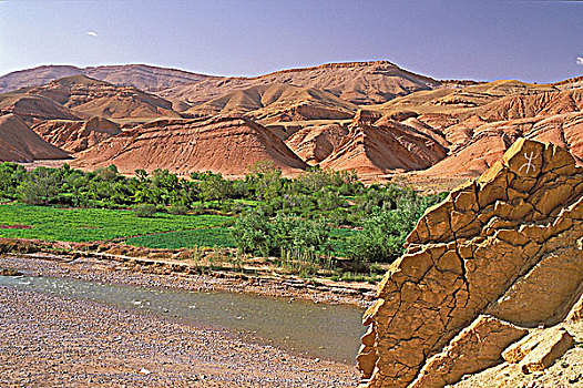 摩洛哥,象征,岩石上,前景