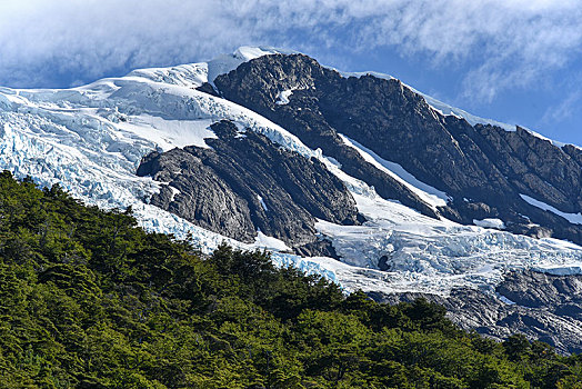 冰河,树林,洛斯格拉希亚雷斯国家公园,国家公园,阿根廷,巴塔哥尼亚,南美