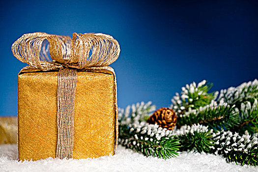 礼盒,圣诞树,枝条,雪中,蓝色背景,背景,寒假,概念