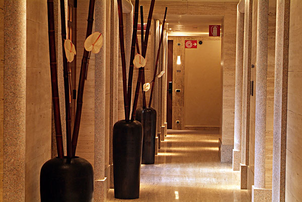 酒店,走廊,亮光,色彩,大理石,墙壁,时髦,花瓶,装饰,竹子,叶子