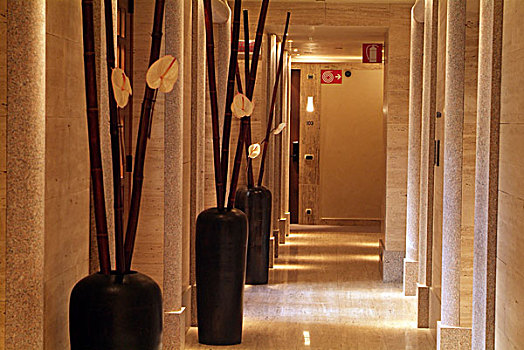酒店,走廊,亮光,色彩,大理石,墙壁,时髦,花瓶,装饰,竹子,叶子