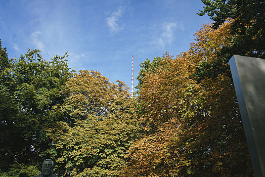 树林里的柏林电视塔