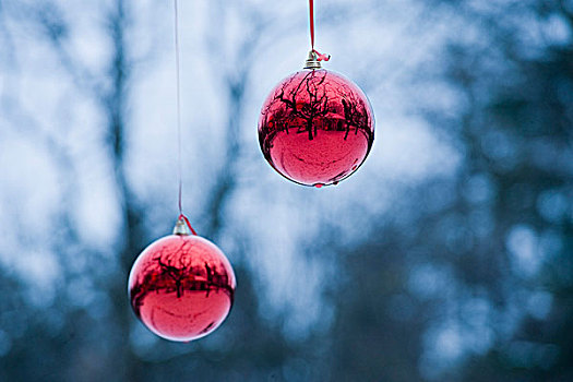 红色,圣诞节,彩球,树,萨尔茨堡,奥地利
