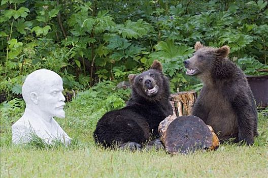 棕熊,一对,靠近,雕塑,堪察加半岛,俄罗斯
