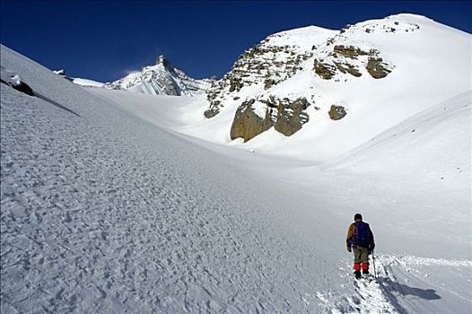 登山者,争斗,道路,雪,高山,安娜普纳地区,尼泊尔